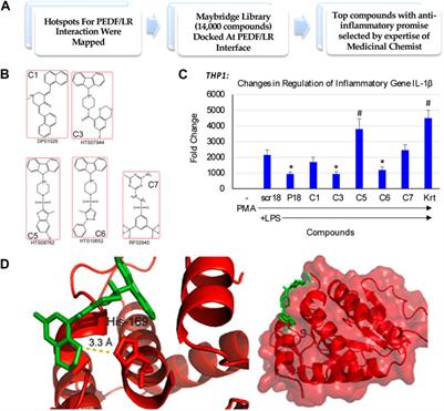 Global proteomics insights for a novel small compound targeting the non-integrin Laminin Receptor in a macrophage cell model